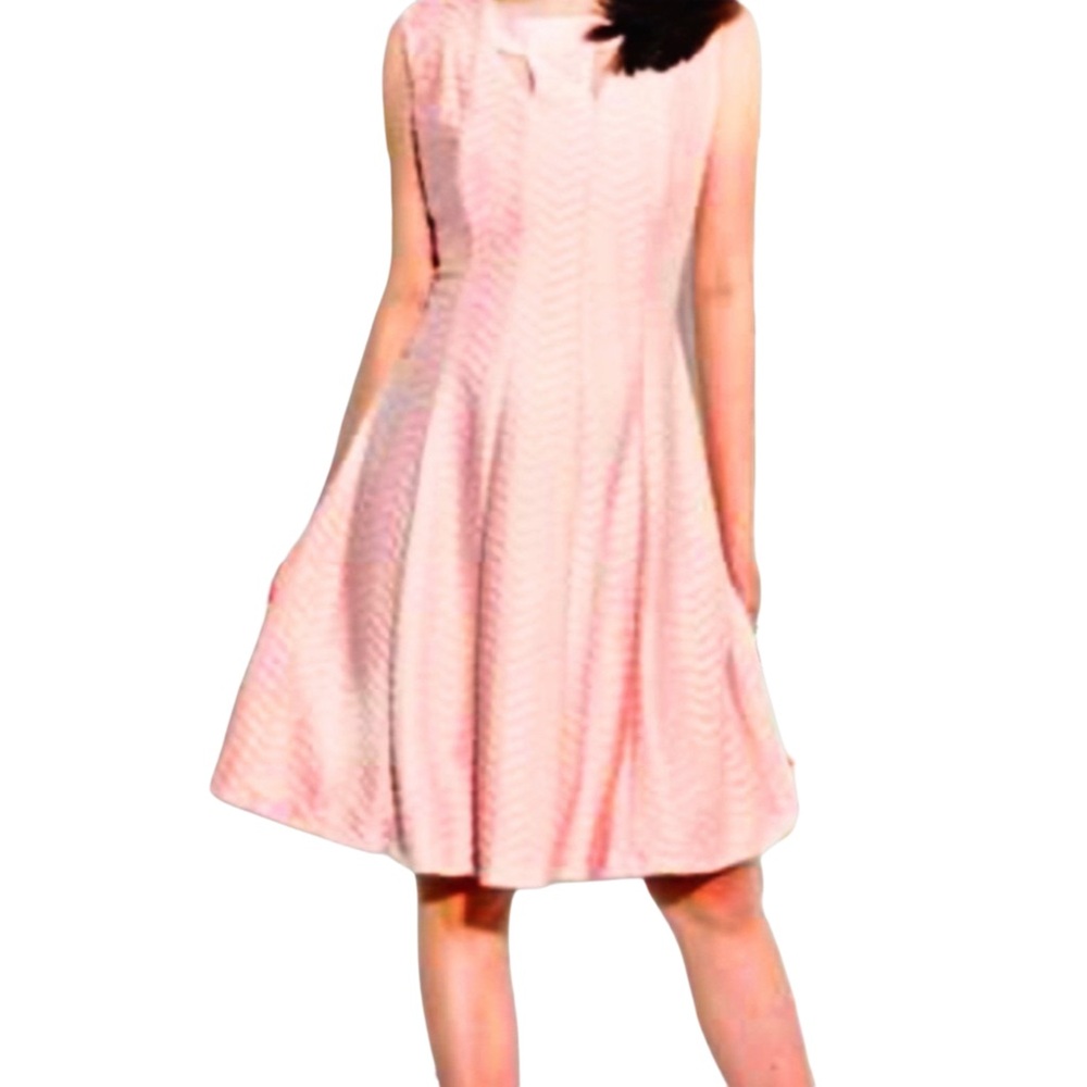 Enfocus Studio Soft Pink Textured Sleeveless Stretch Fit & Flare Mini Dress Sz 6